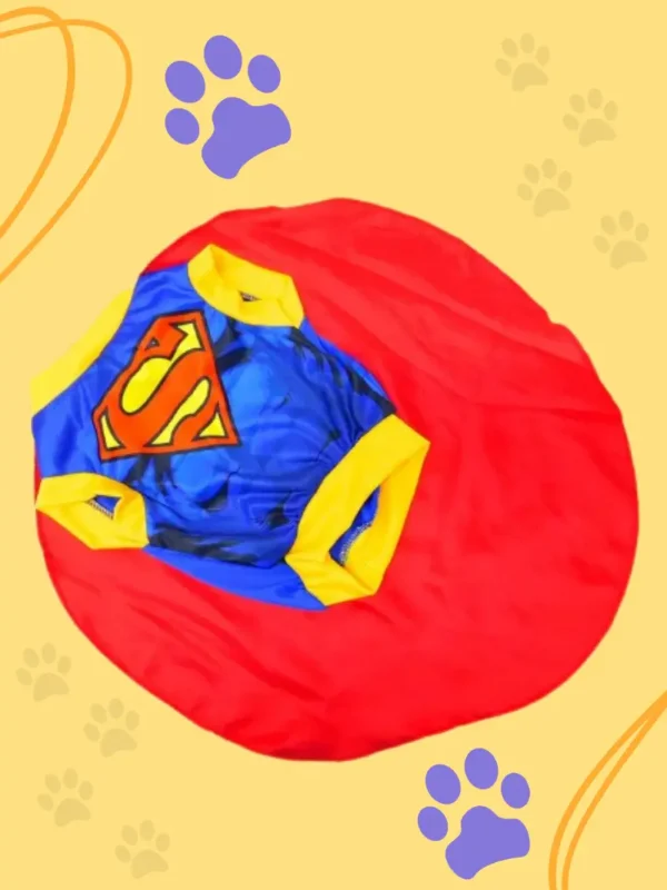 Contenido_Disfraz_Superheroe Imagen del diseño disfraz mascota