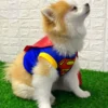 Disfraz_Pequeño_Superheroe Imagen mascota con disfraz del personaje