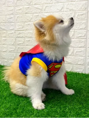 Disfraz_Pequeño_Superheroe Imagen mascota con disfraz del personaje