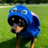 Disfraz_Stitch_Parque Disfraz Mascotas Stitch