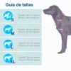 Medidas_Disfraz_Mascotas Imagen medidas tallas disfraz mascotas