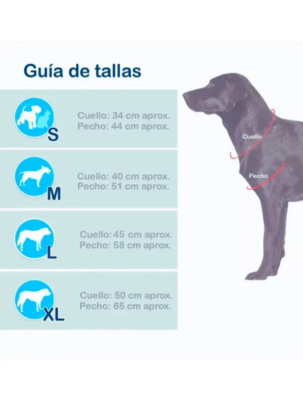 Medidas_Disfraz_Mascotas Imagen medidas tallas disfraz mascotas