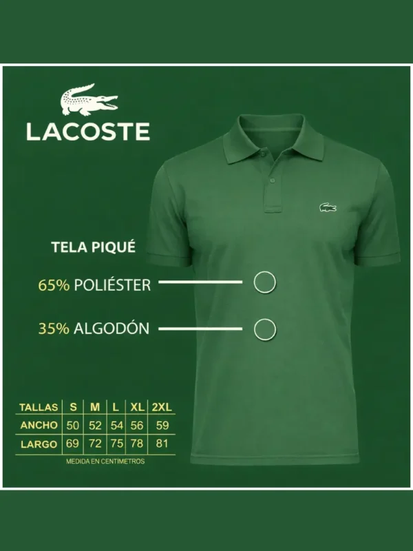 Imagen con medidas de las tallas camiseta Tipo LaCoste