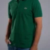Fotografía de modelo con camiseta Verde tipo LaCoste